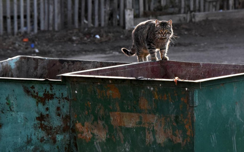 Фото: Максим Коротченко / ТАСС
