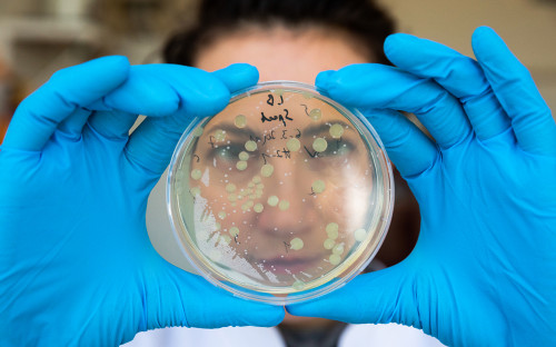 Фото:Иван Юдин / ТАСС