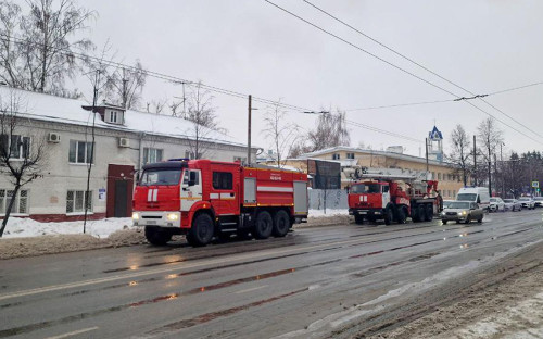 Фото: Оксана Сотник / ТАСС
