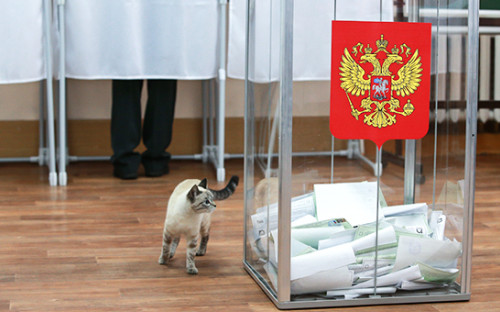 Фото: Владимир Смирнов/ТАСС