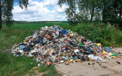 После закрытия по решению суда свалки в Чеховском районе мусоровозы либо не вывозят мусор совсем, либо скидывают его&nbsp;в канавы и леса.
