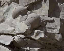 Фото: ИТАР-ТАСС