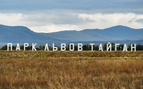 Фото: Константин Михальчевский / РИА Новости