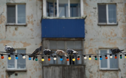 Фото: Алексей Даничев / РИА Новости