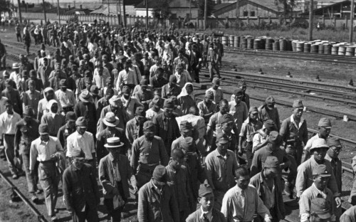 Квантунская&nbsp;армия, 3 сентября 1945 г.