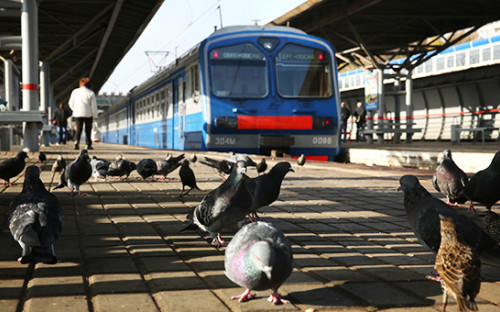 Фото: ТАСС