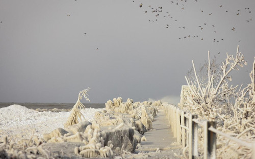 Фото: Lindsey DeDario / Reuters
