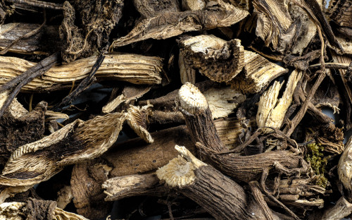 Корень кавы