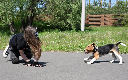 Фото: Максим Богодвид / РИА Новости