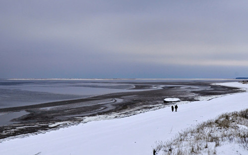 Побережье Белого моря в&nbsp;Архангельской области, 2008 год