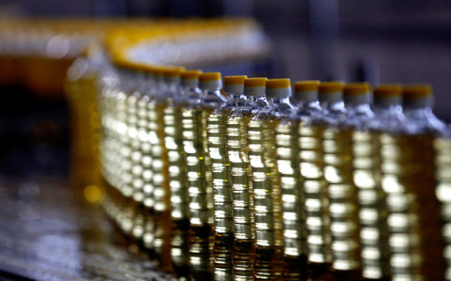 Фото: Валерий Матыцин / ТАСС