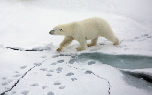 Фото: Esther Horvath / Keystone Press Agency / Global Look Press