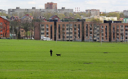 Дубровицы, Московская область
