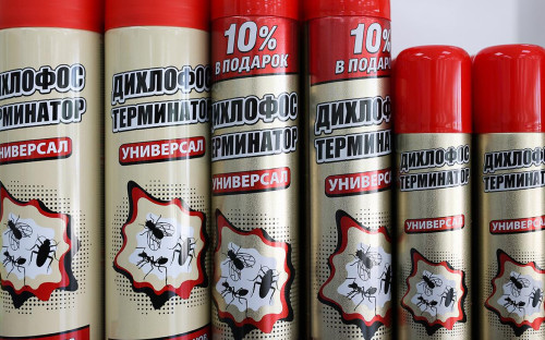 Фото: Виталий Тимкив / РИА Новости