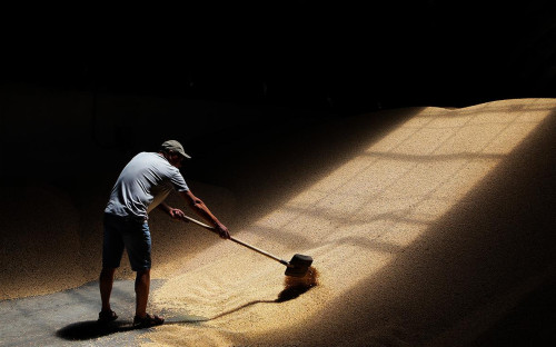 Фото: Денис Абрамов / РИА Новости