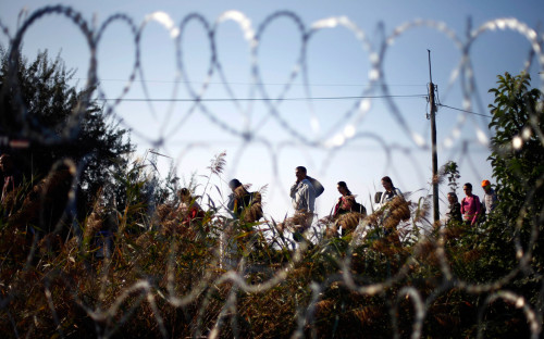 Фото: Matthias Schrader / AP