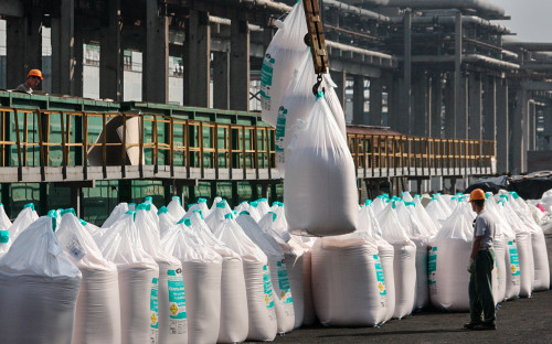 Фото: Игорь Кубединов / ТАСС