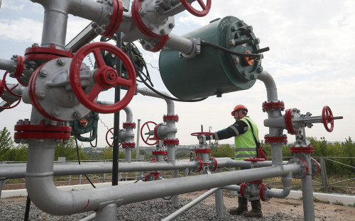 Фото: Егор Алеев / ТАСС