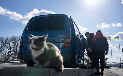 Фото: Евгений Малолетка / AP