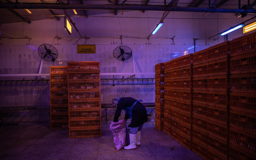Фото: Andrea DiCenzo / Getty Images