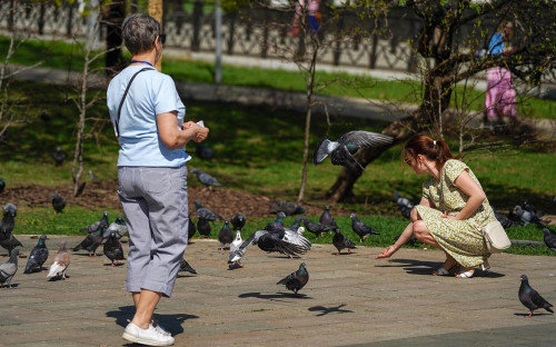 Фото: Александр Авилов / АГН «Москва»