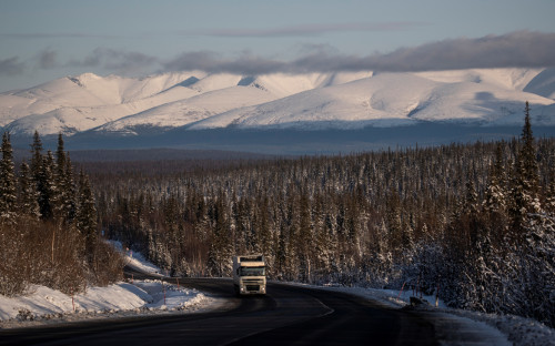 Фото: Максим Шеметов / Reuters