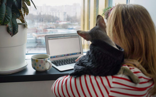 Фото: Александр Авилов / АГН «Москва»