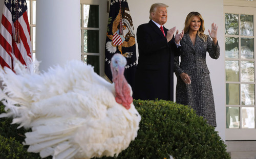 Дональд и Мелания Трамп