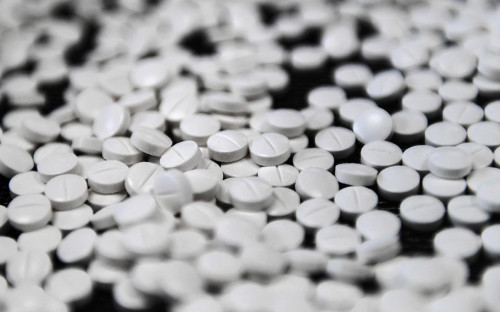 Фото: Валерий Мельников / РИА Новости