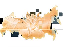Фото: mcx.ru