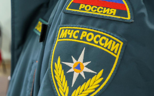 Фото: Алексей Белкин / NEWS.ru / РБК