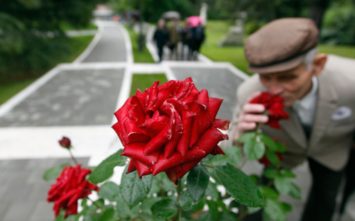 Фото:Marko Djurica / Reuters