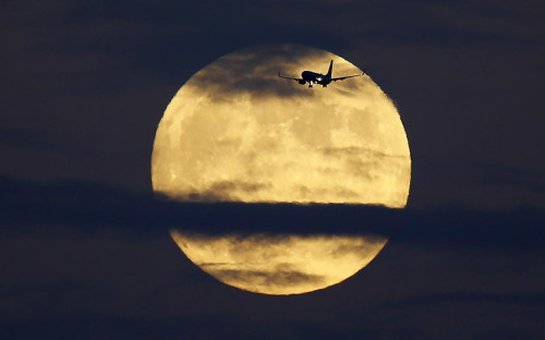 Фото: Mike Blake / Reuters
