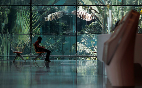 Фото: Edgar Su / Reuters