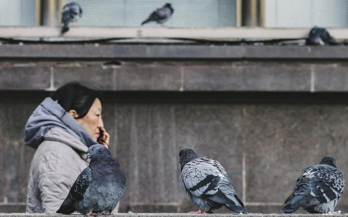 Фото: Андрей Любимов / РБК