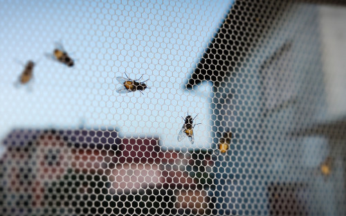 Фото: Shutterstock