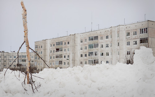 Фото: Сергей Хитров / ТАСС