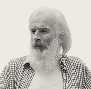 Владимир Мельников