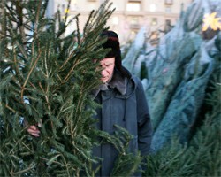 Фото: ИТАР-ТАСС
