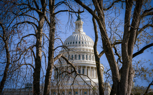 Фото: J. Scott Applewhite / AP