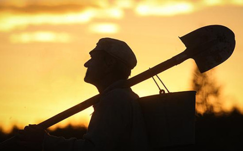 Уборка картофеля в частных хозяйствах