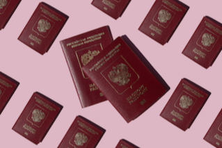 Фото: IKagadiy/shutterstock.com