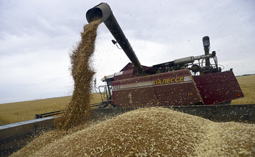 Экспорт сельхозпродукции Новосибирской области: рекордный рост