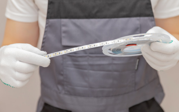 Фото: Shutterstock