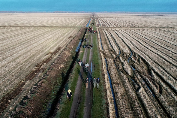 Фото: Umit Bektas / Reuters