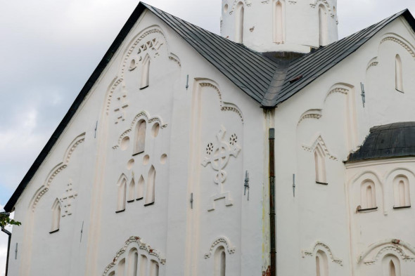 Сіңірменің суреті