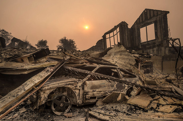Фото: Paul Kitagaki Jr / Sacramento Bee via ZUMA Wire / ТАСС