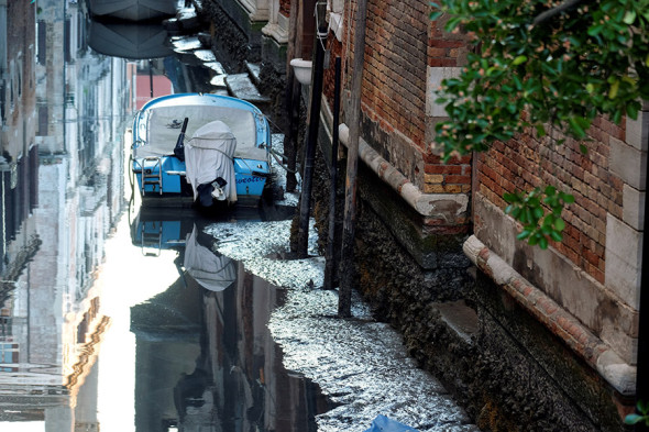 Фото:Manuel Silvestri / Reuters
