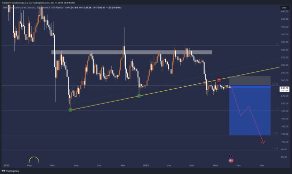 Крипто дубль