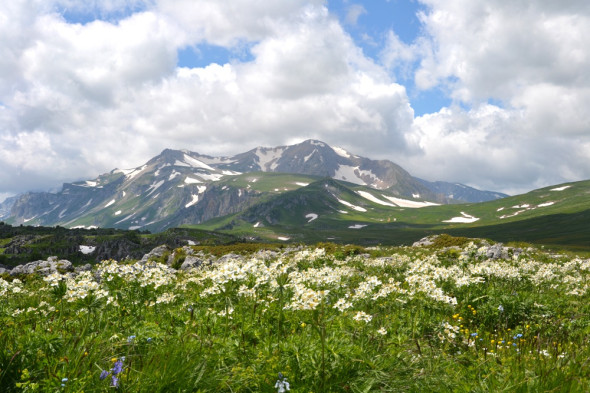 Фото: westerncaucasus.ru